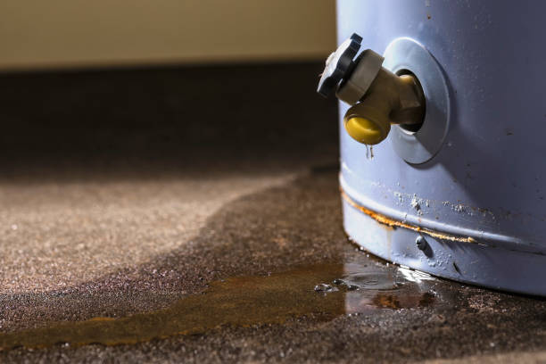 Best Water damage contractors near me  in Taylorsville, NC