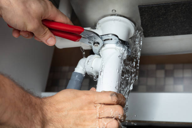 Best Mold removal after water damage  in Taylorsville, NC