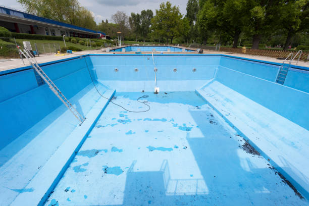 Best Mold removal after water damage  in Taylorsville, NC