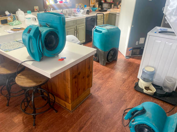 Best Local water damage restoration  in Taylorsville, NC