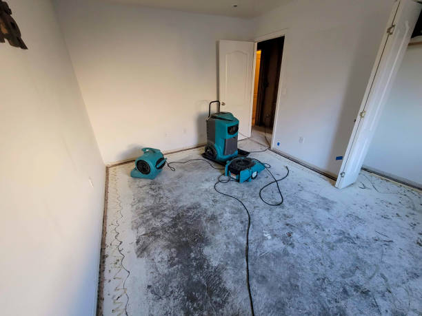 Best 24-hour water damage restoration  in Taylorsville, NC