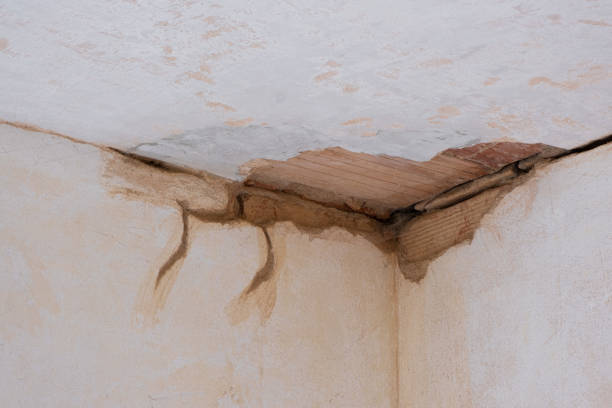 Best Water damage restoration insurance claims  in Taylorsville, NC
