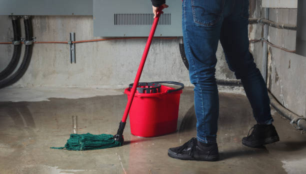 Best Flood damage cleanup  in Taylorsville, NC