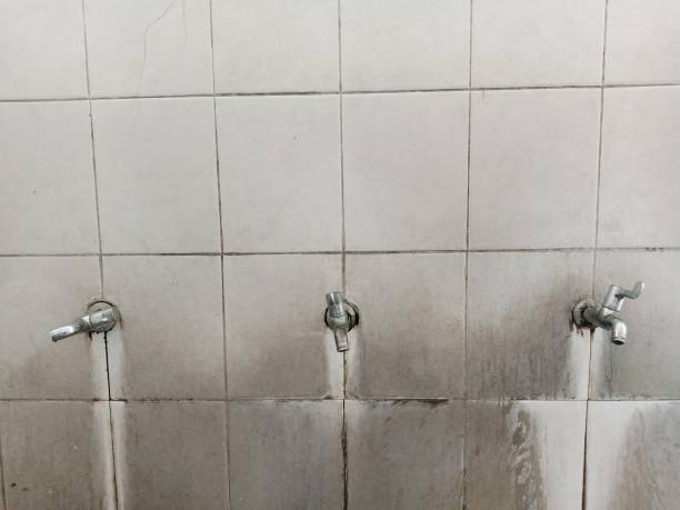 Best Water damage contractors near me  in Taylorsville, NC