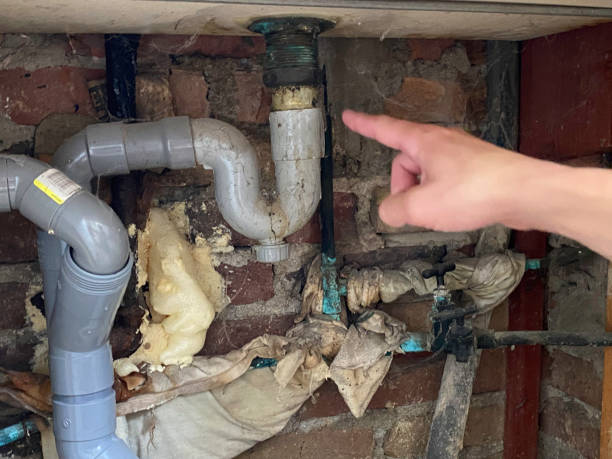 Best Flood damage cleanup  in Taylorsville, NC