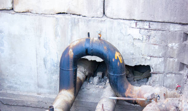 Best Professional water damage repair  in Taylorsville, NC