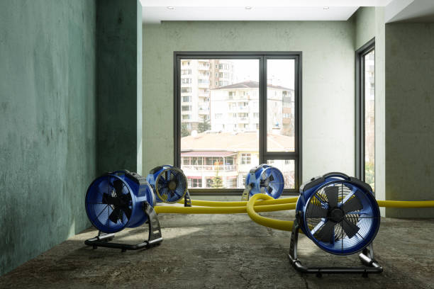 Best Water damage restoration services  in Taylorsville, NC